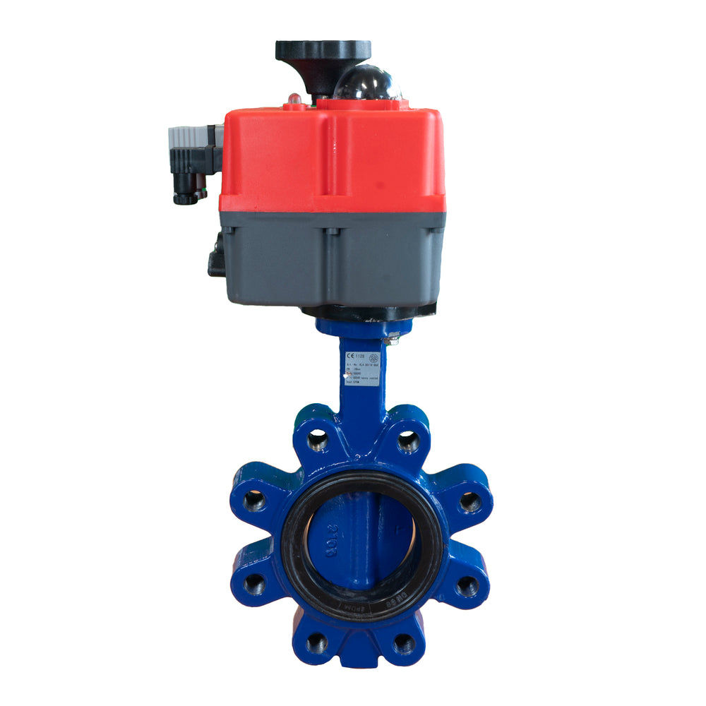 Electric Butterfly Valve DN100 24-240V AC/DC Modulating Lug GGG40 FKM J+J