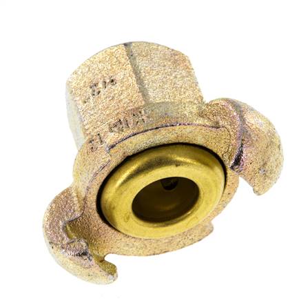 Gusseisen DN 17 DIN 3489 Drehklauenkupplung Rp 1/2'' Innengewinde