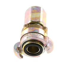 Gusseisen DN 17 DIN 3238 Klauenkupplung G 3/4'' Innengewinde