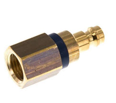Messing DN 5 Blau Luftkupplungsstecker G 1/4 Zoll Innengewinde