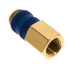 Messing DN 5 Blau Luftkupplung Muffe G 1/4 Zoll Innengewinde