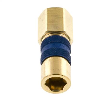 Messing DN 5 blau-kodierte Luftkupplung Muffe G 1/4 Zoll Innengewinde