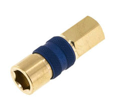 Messing DN 5 blau-kodierte Luftkupplungsmuffe G 1/8 Zoll Innengewinde
