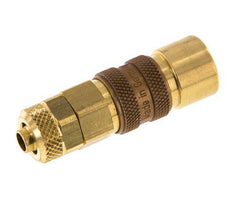 Messing DN 5 Braun Luftkupplungsmuffe 6x8 mm Überwurfmutter