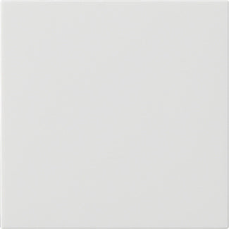 Gira System 55 Single Rocker Switch Blank Pure White - 537203 [2 Pieces]