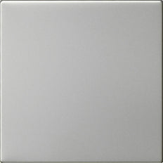 Gira System 55 Edelstahl Unbedruckter Wippschalter - 5372600