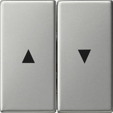 Gira System 55 Control Element/Central Plate Switchgear - 0294600