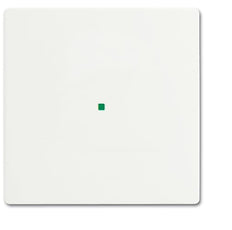 ABB Busch-Jaeger Busch-FreeAtHome Control Element/Central Plate Switchgear - 2CKA006220A0481