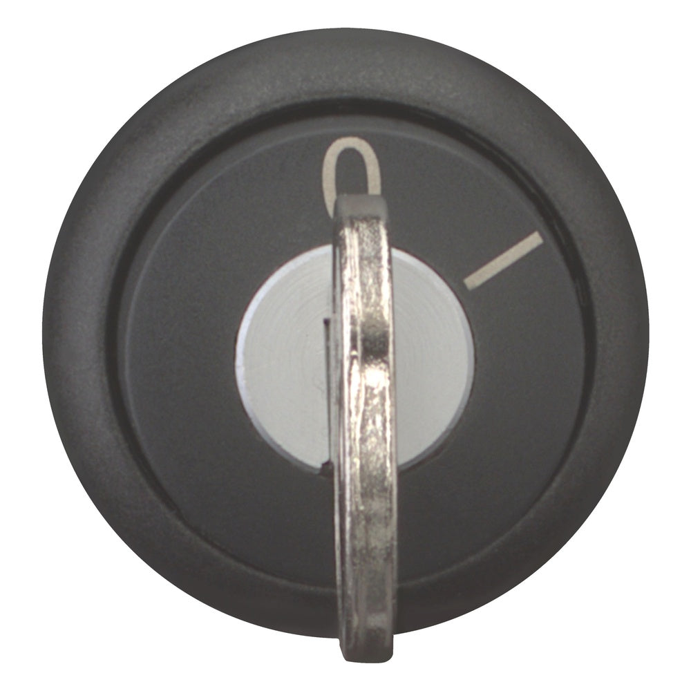 EATON INDUSTRIES RMQ-Titan Wahlschalter Frontelement - 216882