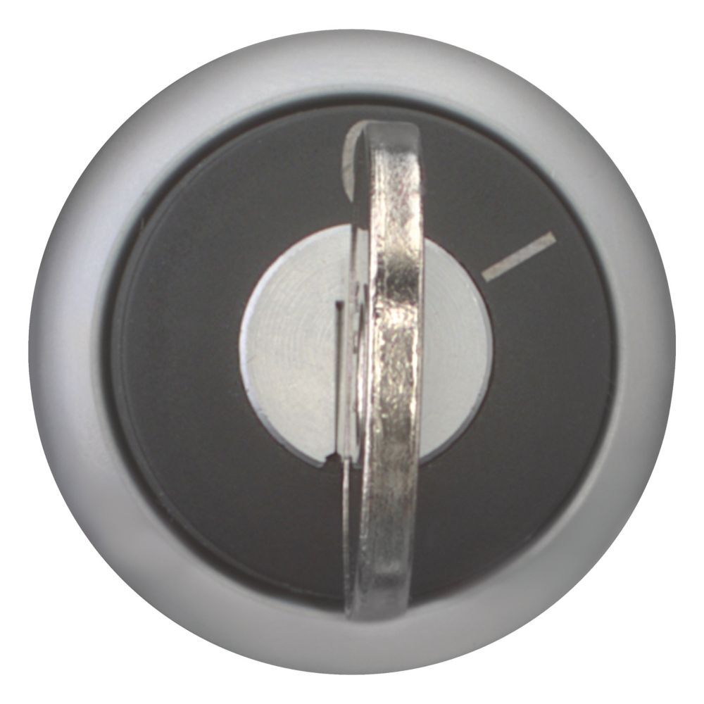 EATON INDUSTRIES RMQ-Titan Wahlschalter Frontelement - 216881