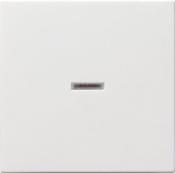 Gira System 55 Bedienelement/Zentralplatte Schaltgerät - 029027 [2 Stück]