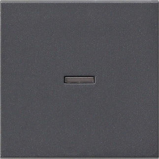 Gira System 55 Bedienelement/Zentralplatte Schaltgerät - 029028