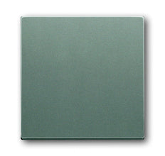 ABB Busch-Jaeger Solo-Bedienelement/Zentralplatte Schaltgerät - 2CKA001751A3012