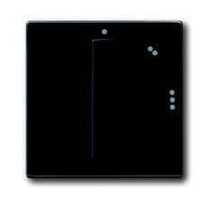 ABB Busch-Jaeger Future Control Element/Central Plate Switchgear - 2CKA001710A3649