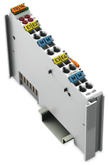 Wago Fieldbus Decentralized Peripheral - Analog Input And Output Module - 750-455