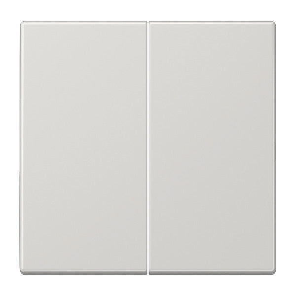 Jung LS990 Control Element/Central Plate Switchgear - LS995LG