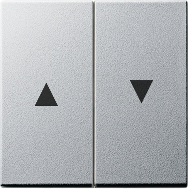 Gira System 55 Control Element/Central Plate Switchgear - 029426