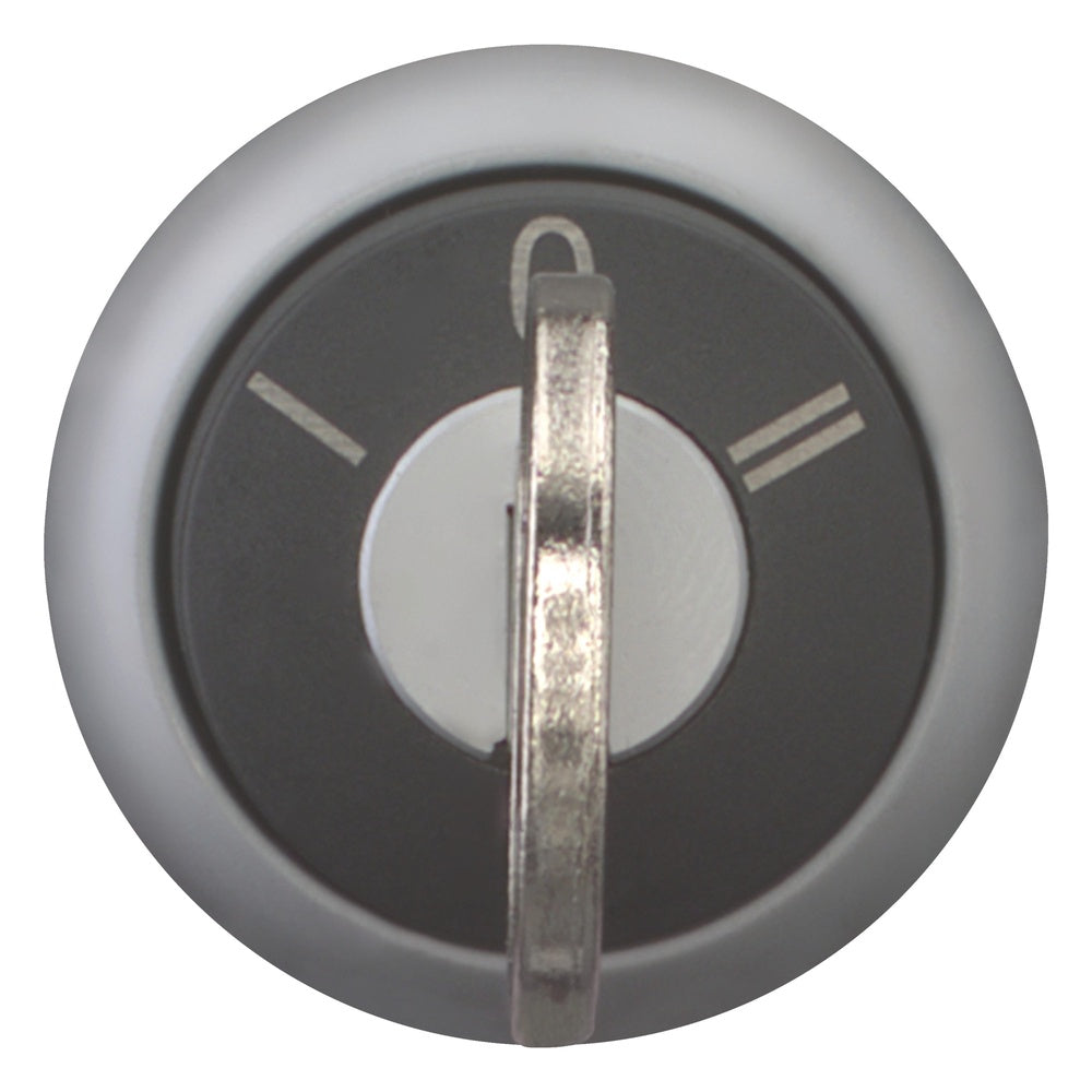 EATON INDUSTRIES RMQ-Titan Selector Switch Front Element - 216900