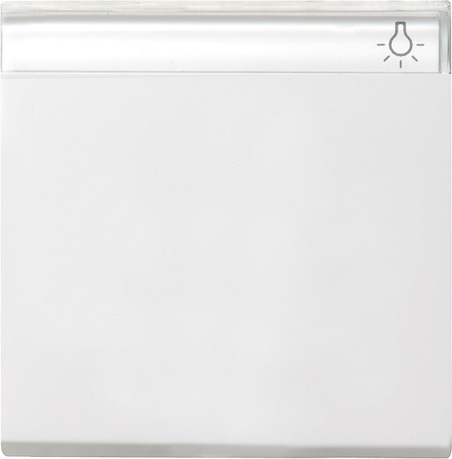 Gira System 55 Control Element/Central Plate Switchgear - 029903