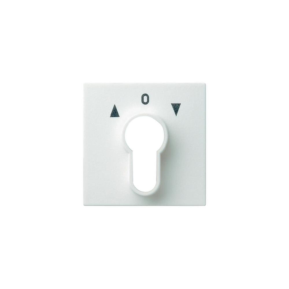 Gira System 55 Bedienelement/Zentralplatte Schaltgerät - 066403