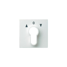 Gira System 55 Bedienelement/Zentralplatte Schaltgerät - 066403