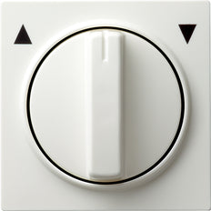 Gira S-Color Control Element/Central Plate Switchgear - 066640