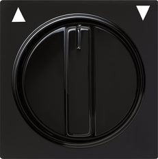 Gira S-Color Control Element/Central Plate Switchgear - 066647
