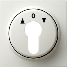 Gira S-Color Control Element/Central Plate Switchgear - 066440