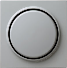 Gira S-Color Control Element/Central Plate Switchgear - 065042