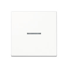 Jung A500 Control Element/Central Plate Switchgear - A590KO5WW