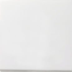 Gira F100 Installationsschalter - 0127112