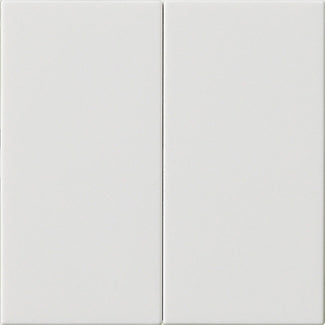 Gira System 55 Doppelwippschalter Leer Reinweiß - 537003