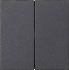Gira System 55 Dual Rocker Switch Blank Anthracite - 537028