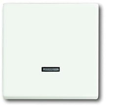 ABB Busch-Jaeger Future Control Element/Zentralplatte Schaltanlage - 2CKA006599A2963