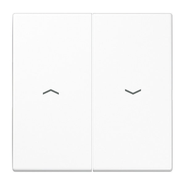 Jung LS990 Control Element/Central Plate Switchgear - LS995PWW