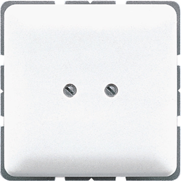 Jung CD500 Control Element/Central Plate Switchgear - CD561BWW