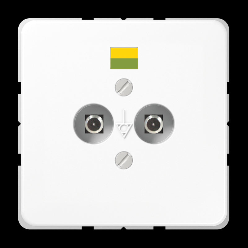 Jung CD500 Potentialausgleichs-Steckdose - CD565-2NWW