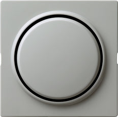 Gira S-Color Control Element/Central Plate Switchgear - 029642