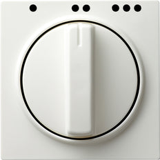 Gira S-Color Control Element/Central Plate Switchgear - 066740