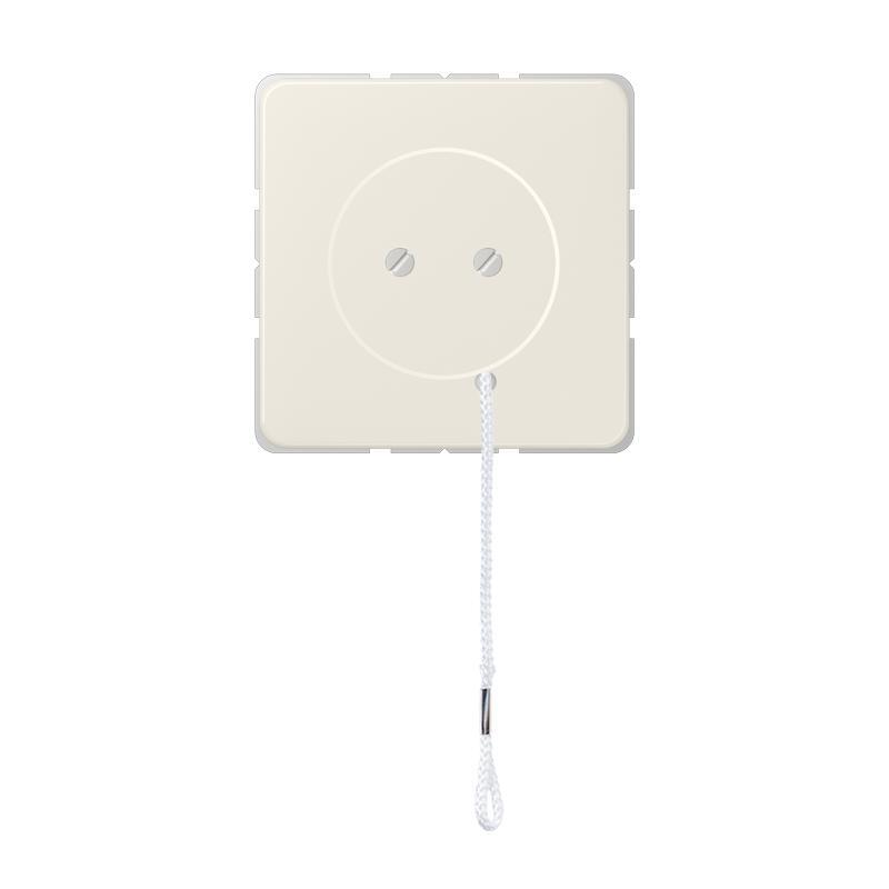 Jung CD500 Installationsschalter - Z506NUZV