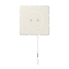 Jung CD500 Installationsschalter - Z506NUZV