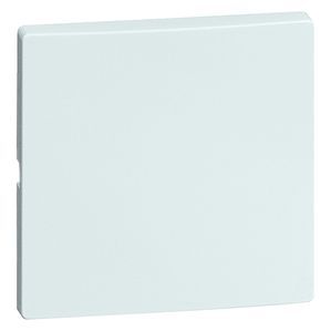 Honeywell Peha DIALOG Bedienelement/Zentralplatte Schaltgerät - 00848911