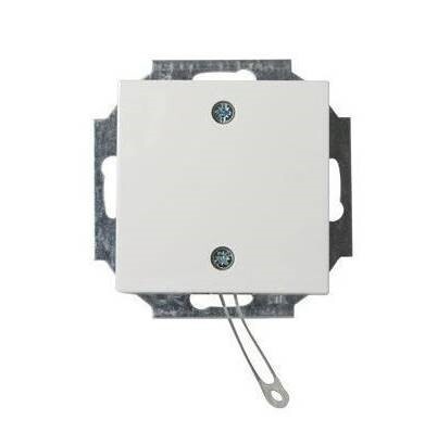 ABB Busch-Jaeger Installationsschalter - 2CKA009999A2610