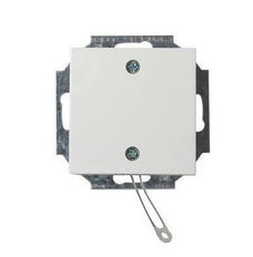 ABB Busch-Jaeger Installationsschalter - 2CKA009999A2610