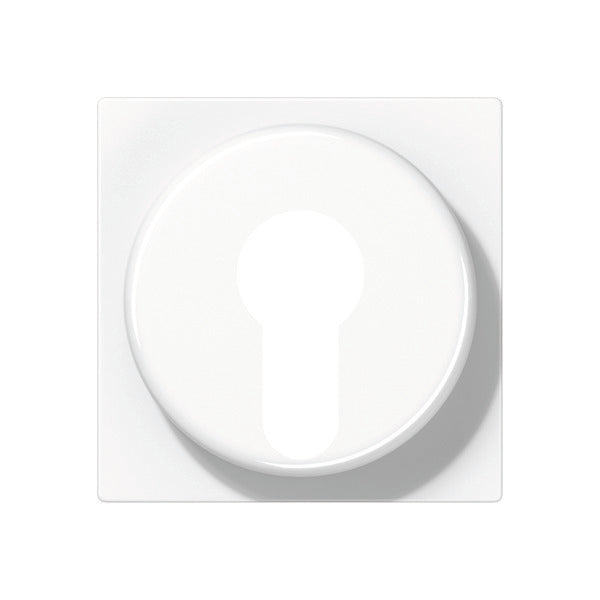 Jung AS500 Steuerelement/Zentralplatte Schaltanlage - A528PLWW