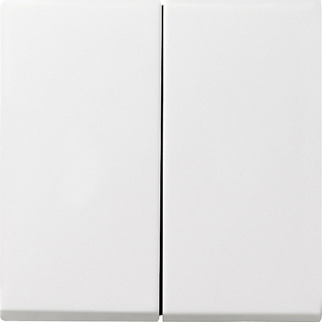 Gira Standard 55 Control Element/Central Plate Switchgear - 026603