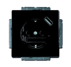 ABB Busch-Jaeger Wall Outlet (WCD Switchgear) - 2CKA002011A6158