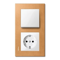 Schneider Electric Merten System M Steuerelement/Zentralplatte Schaltanlage - MTN432119 [2 Stück]