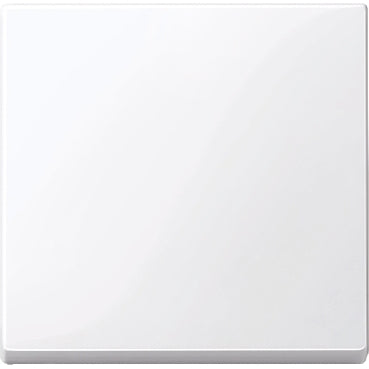 Schneider Electric Merten System M Steuerelement/Zentralplatte Schaltgerät - MTN432125 [2 Stück]