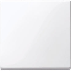 Schneider Electric Merten System M Steuerelement/Zentralplatte Schaltgerät - MTN432125 [2 Stück]